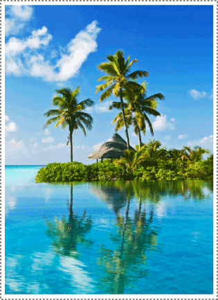 PL Consultants Palm Tree